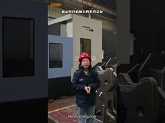 Excavateurs hydrauliques, ciseaux de démolition lourds